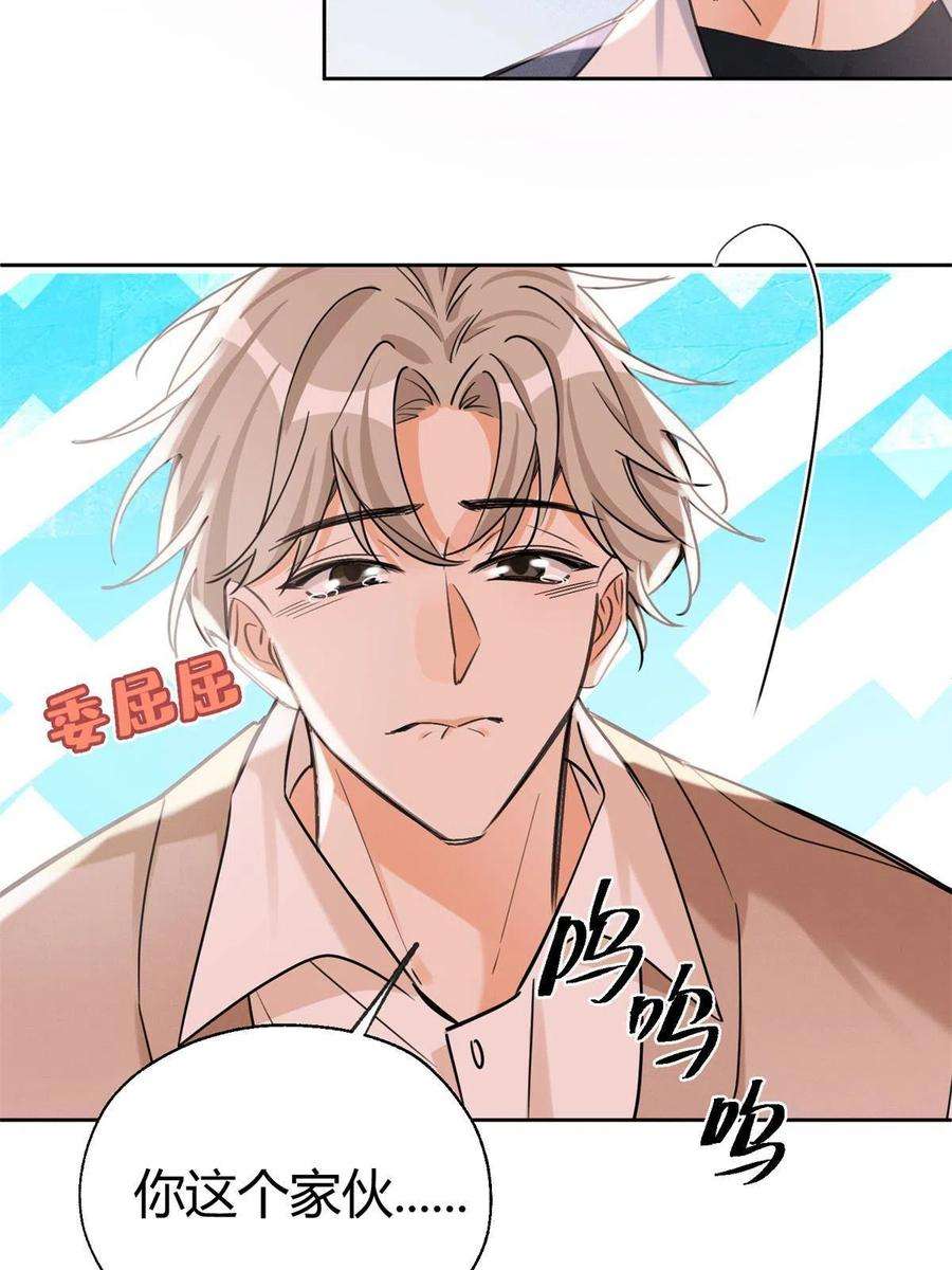 今天也要努力当只猫87 生辰八字送你