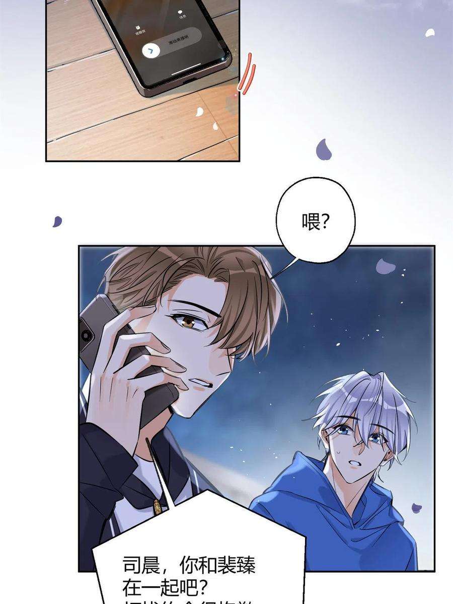 今天也要努力当只猫87 生辰八字送你