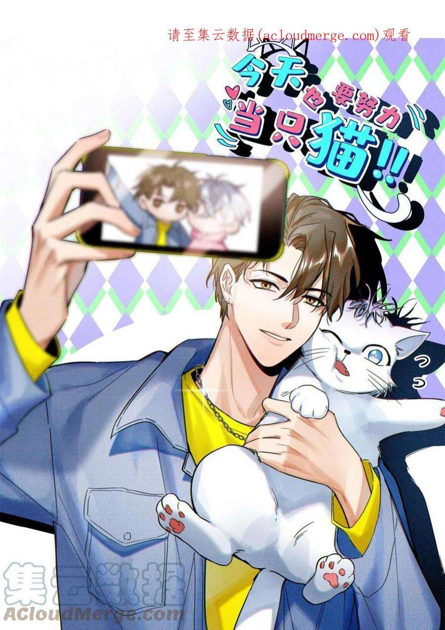 今天也要努力当只猫89 迎亲