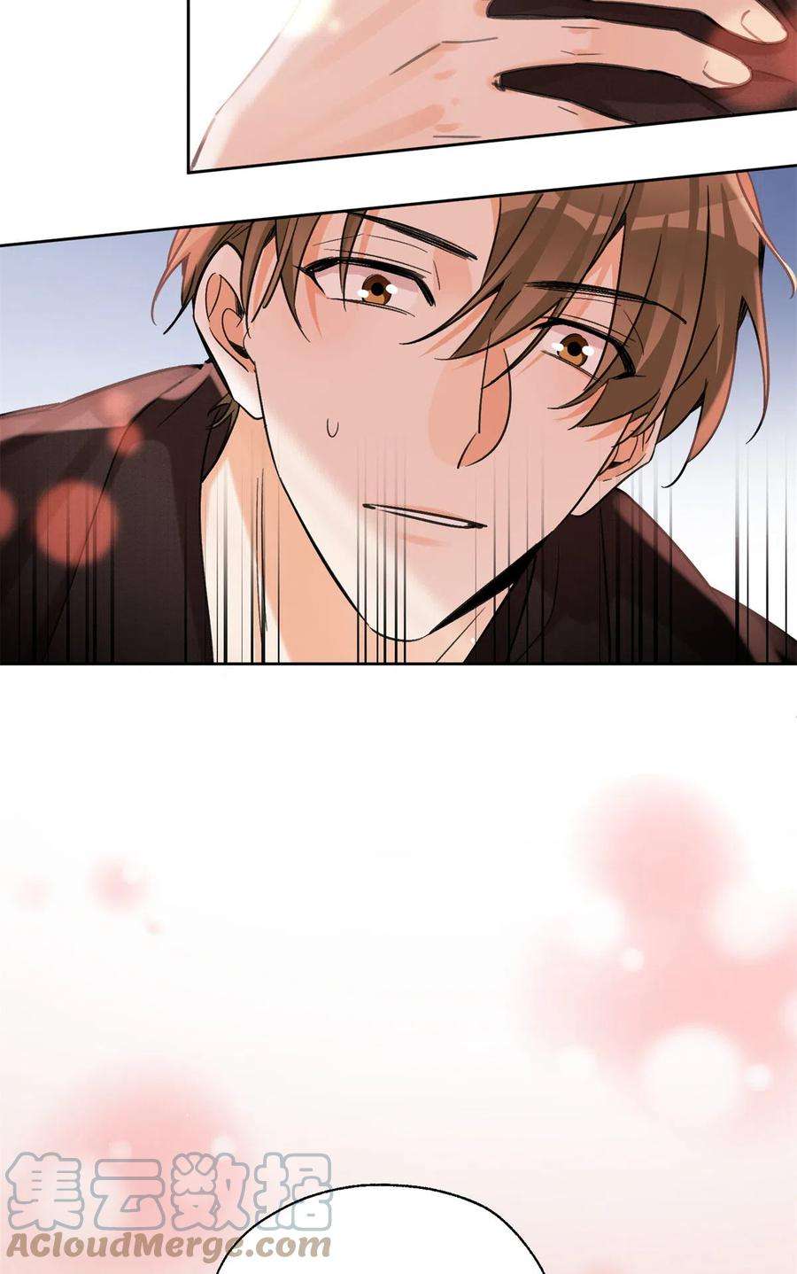 今天也要努力当只猫90 酱酱酿酿