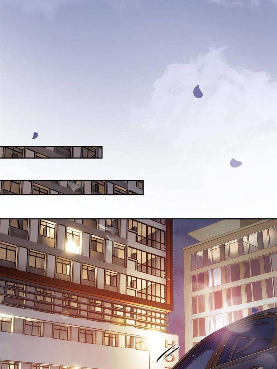 今天也要努力当只猫91 老公~