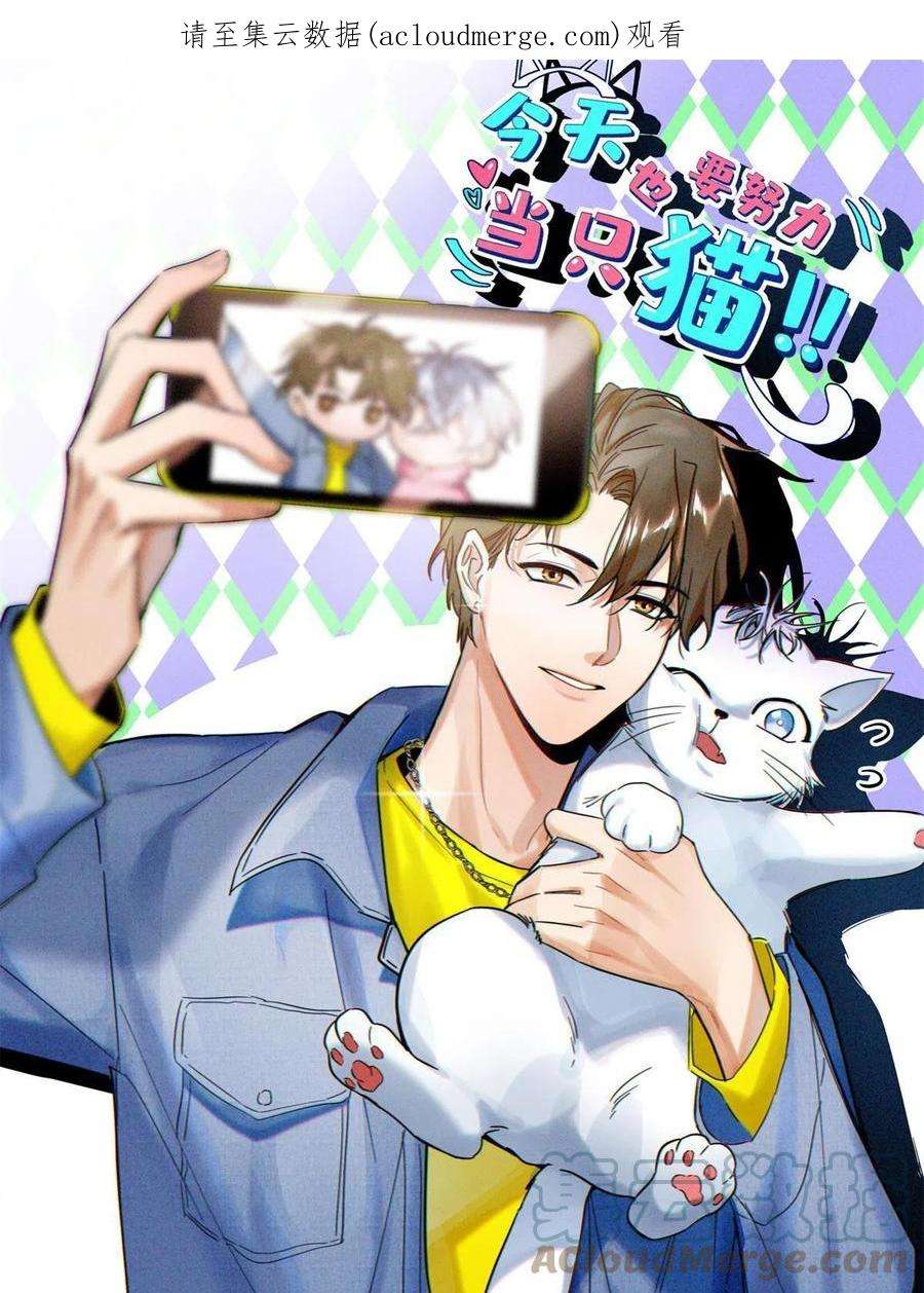 今天也要努力当只猫92 他竟然是…！？