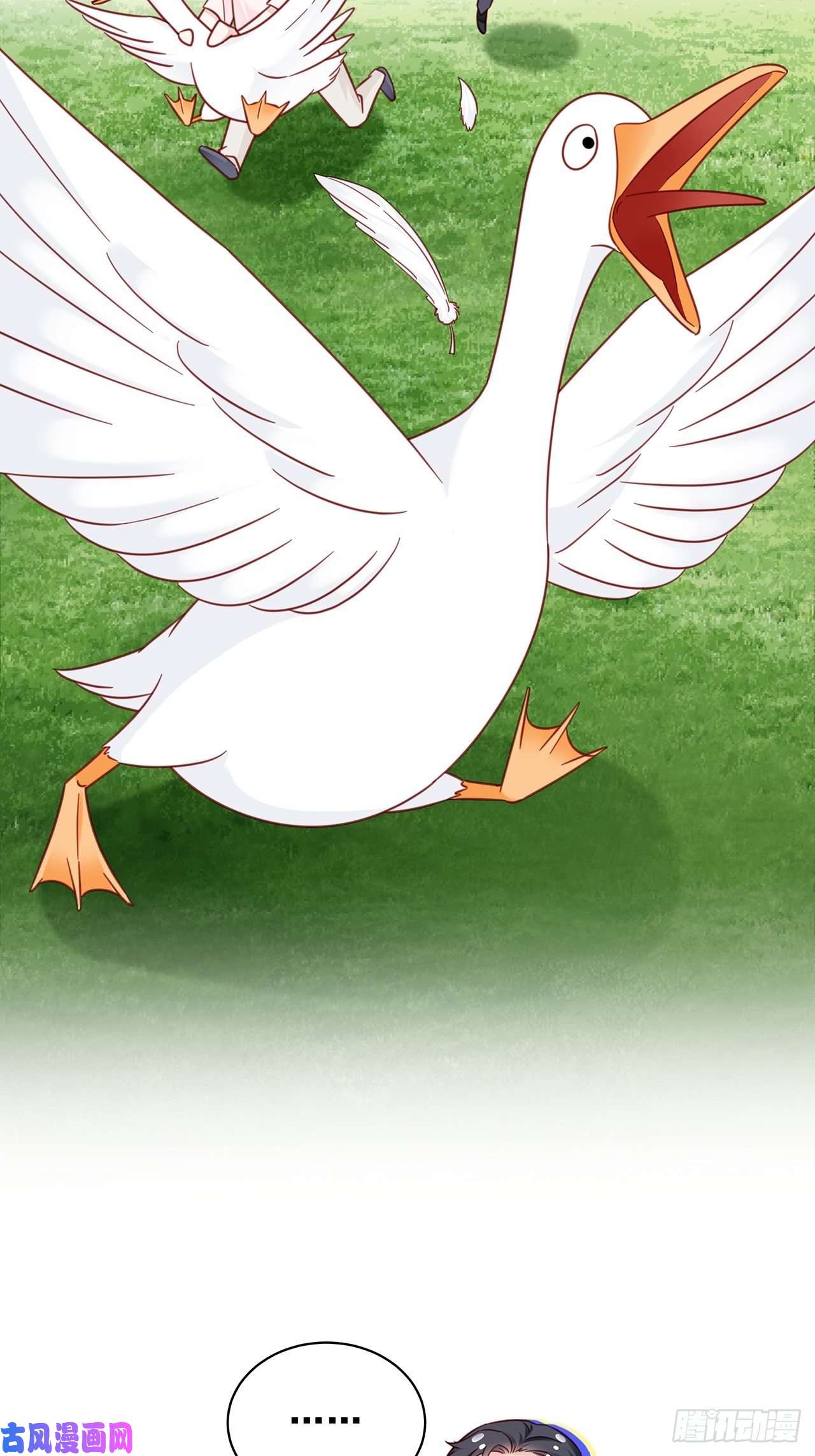 热搜危机端午福利特辑！