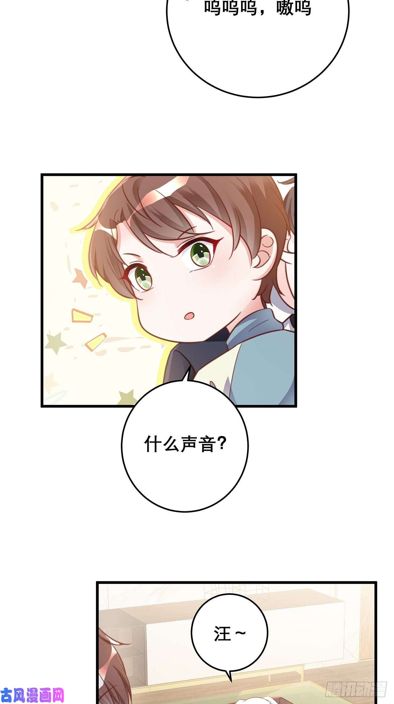 热搜危机元旦特辑 新成员的到来