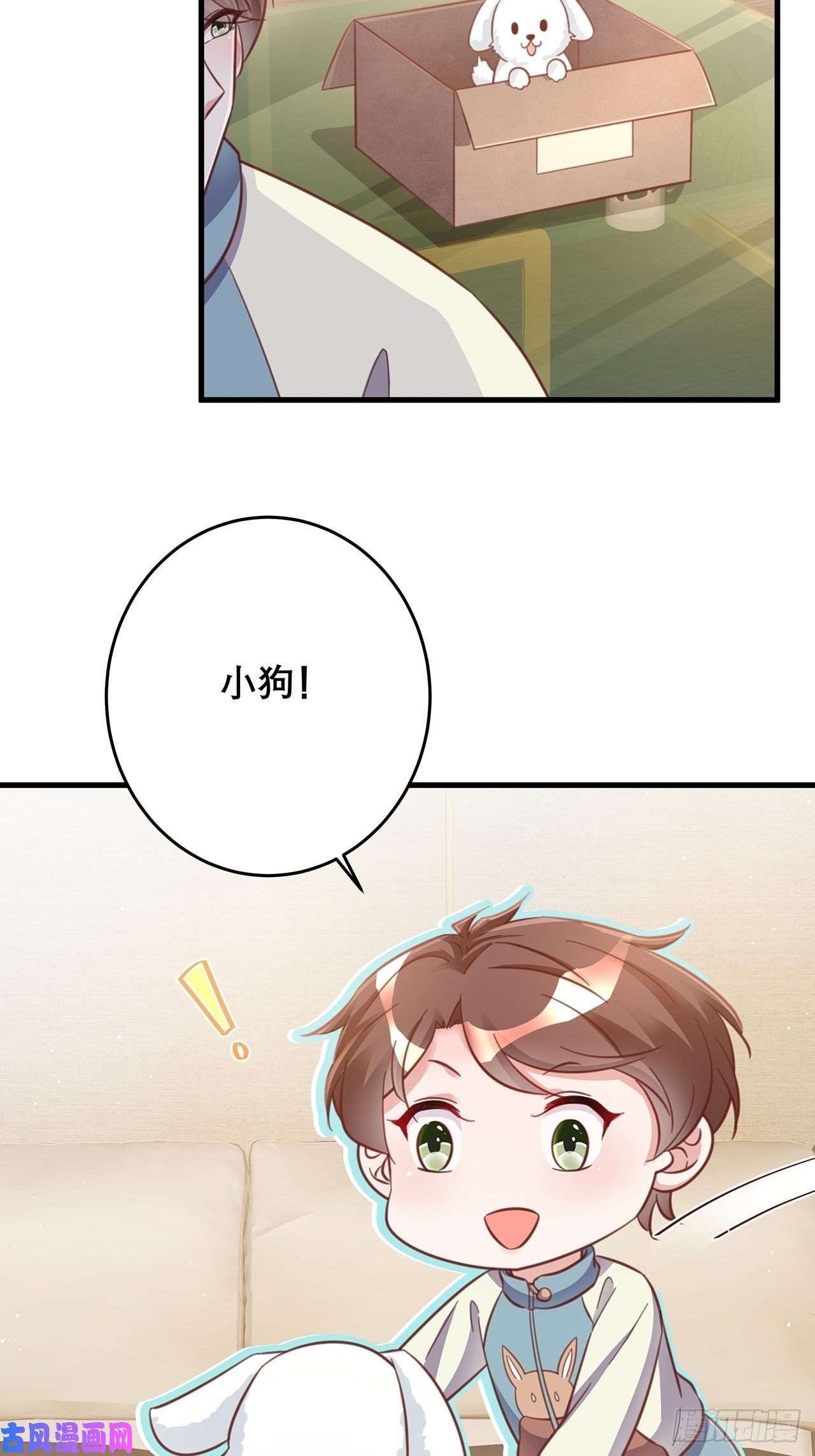 热搜危机元旦特辑 新成员的到来