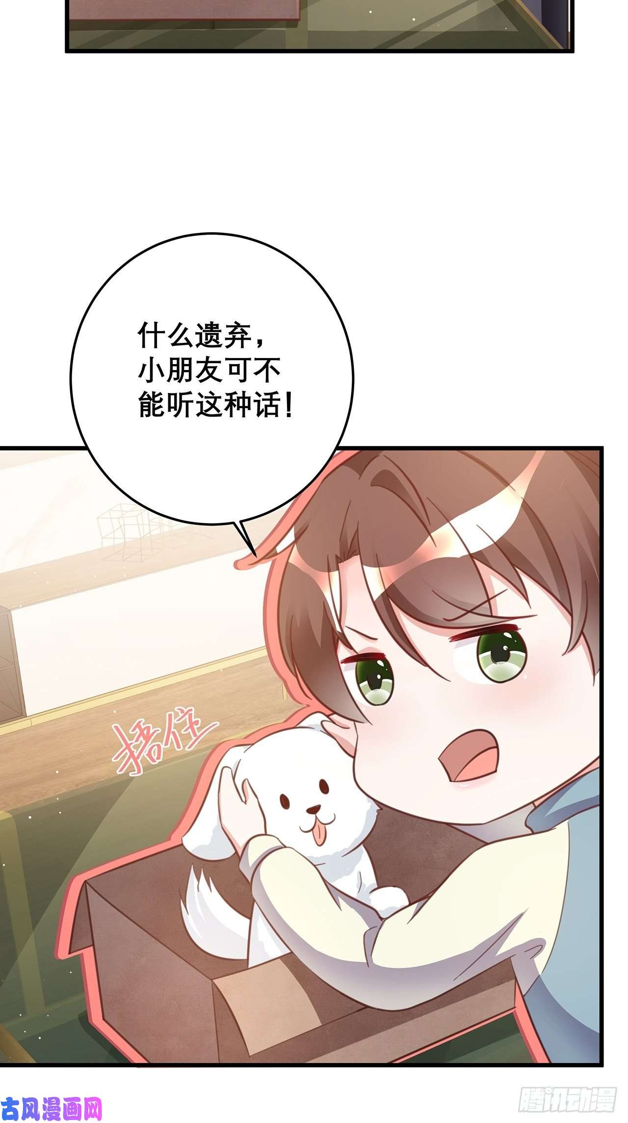 热搜危机元旦特辑 新成员的到来