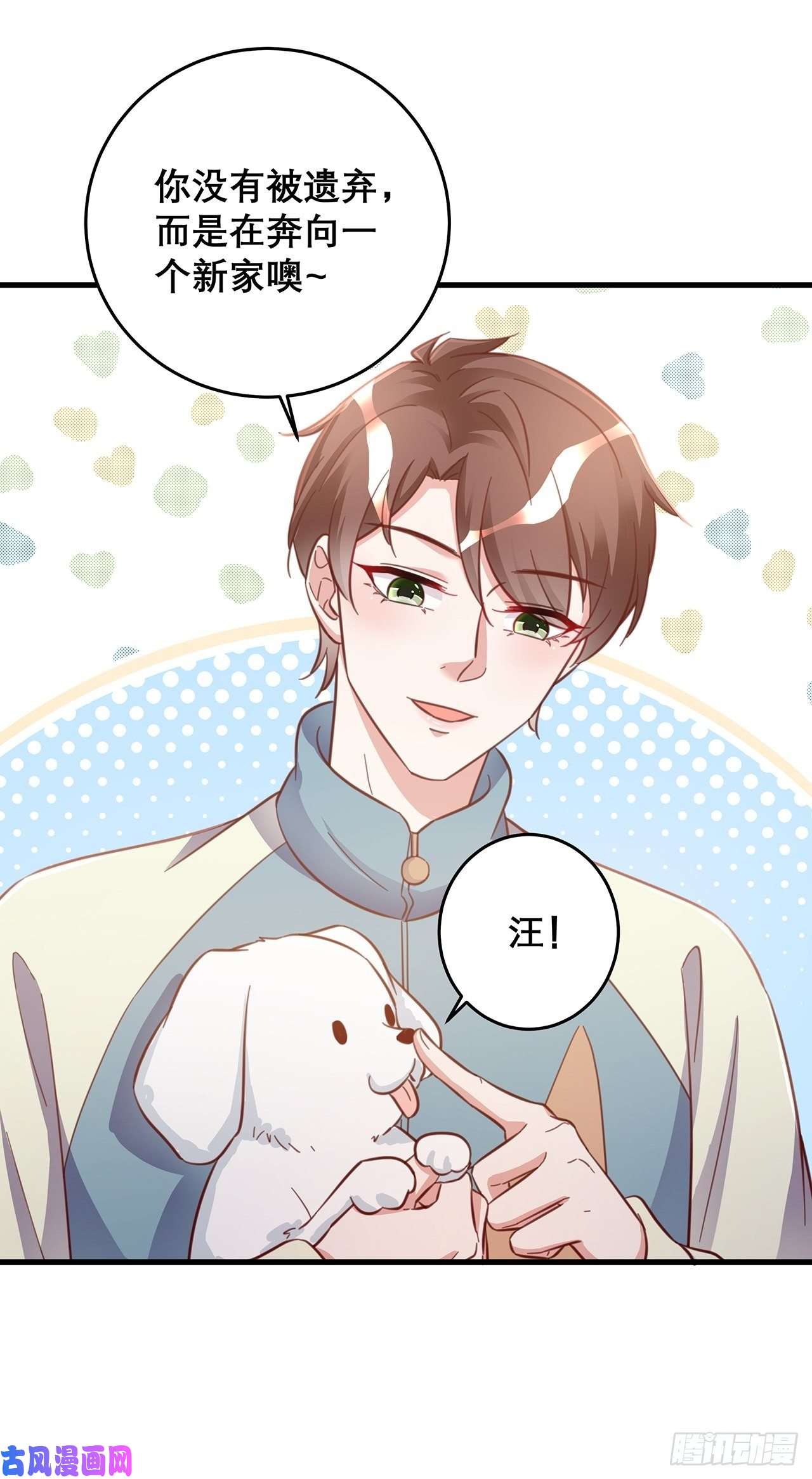 热搜危机元旦特辑 新成员的到来