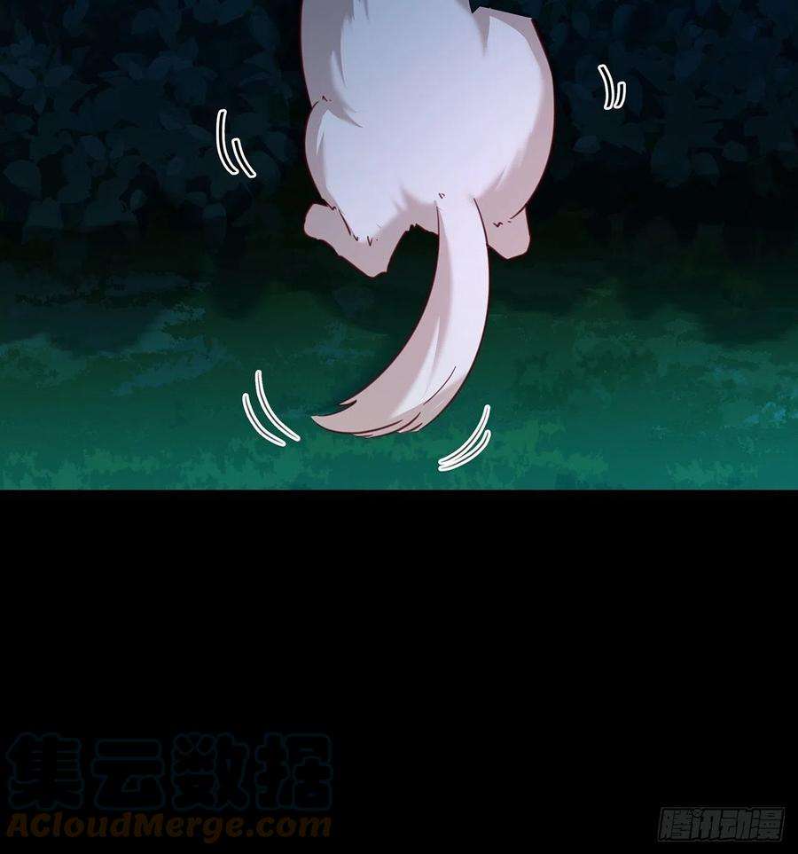 热搜危机免费番外 代毛历险记