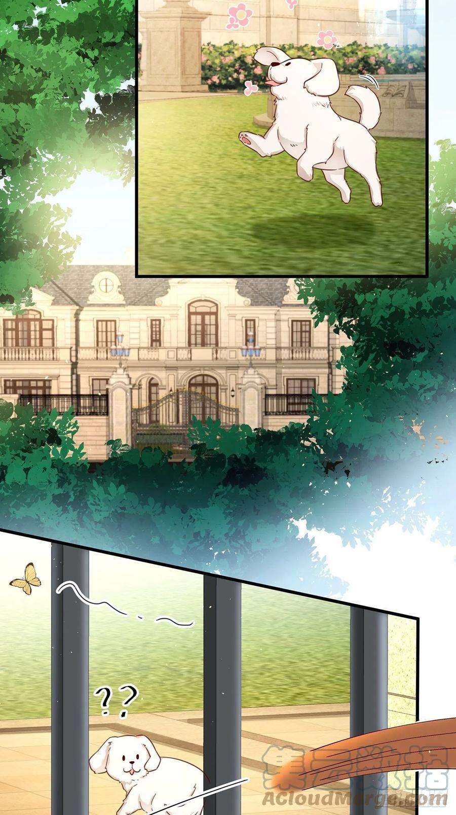 热搜危机免费番外 代毛历险记