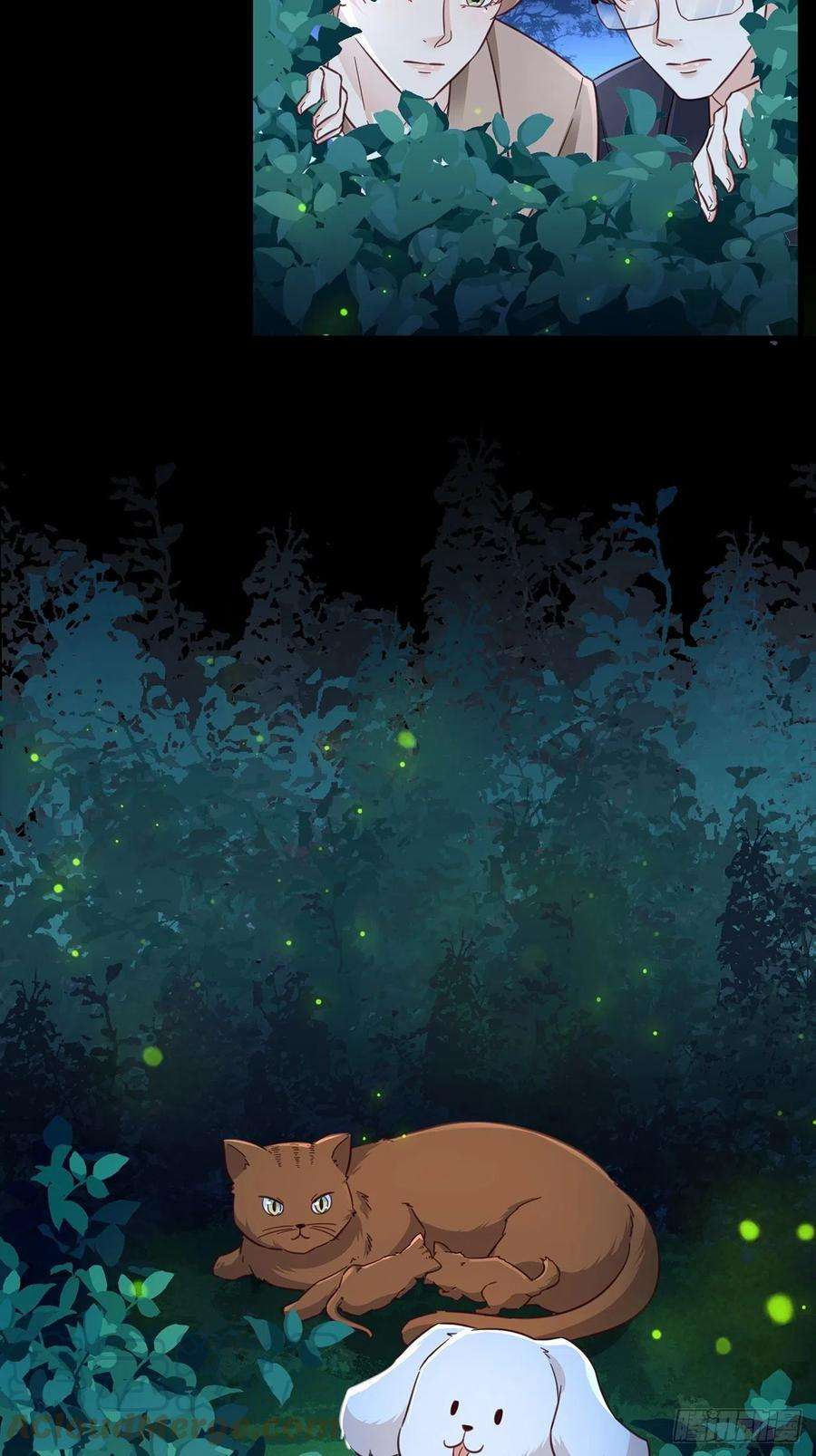 热搜危机免费番外 代毛历险记