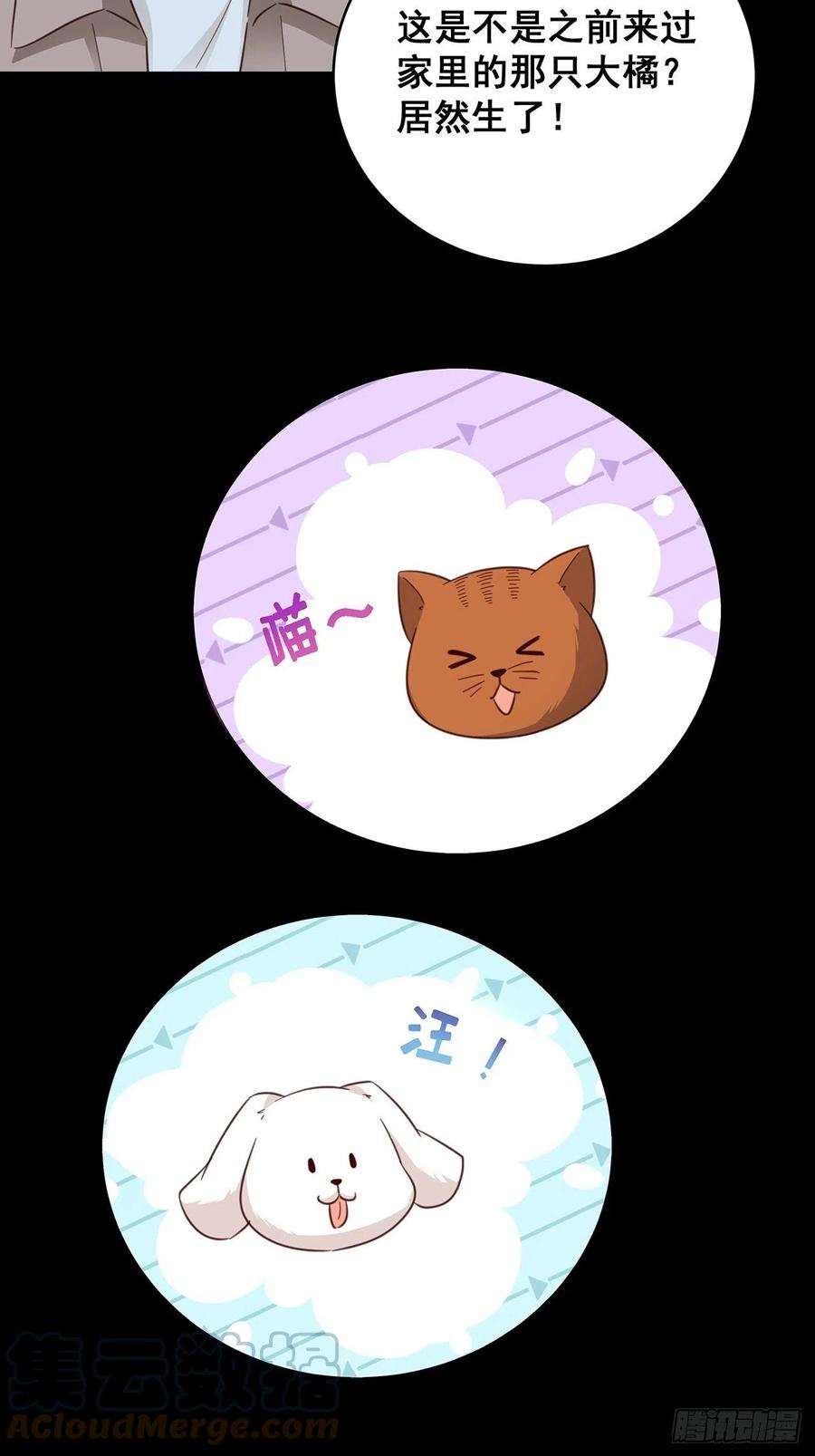 热搜危机免费番外 代毛历险记