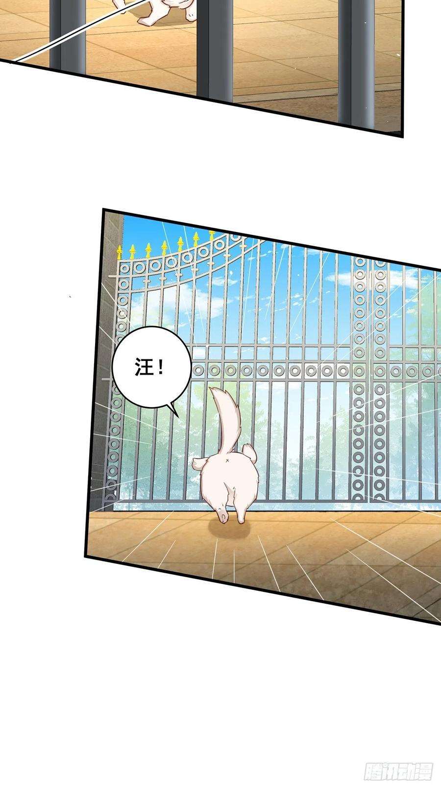 热搜危机免费番外 代毛历险记