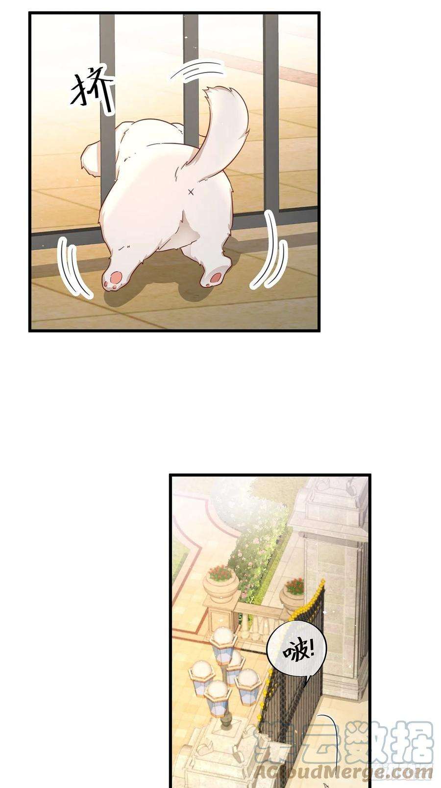 热搜危机免费番外 代毛历险记