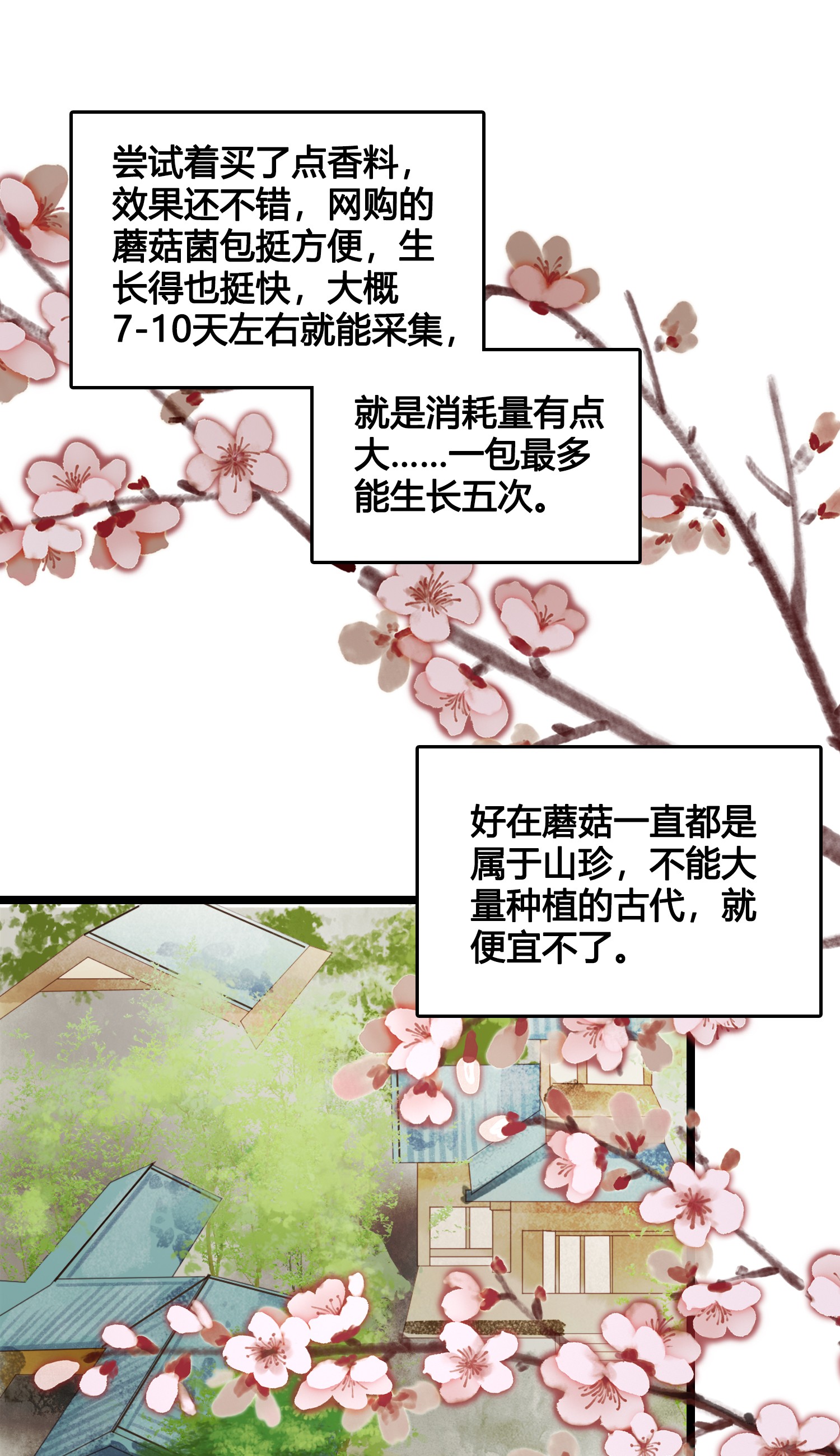 设定一直在坑我013 我觉得我被套路了