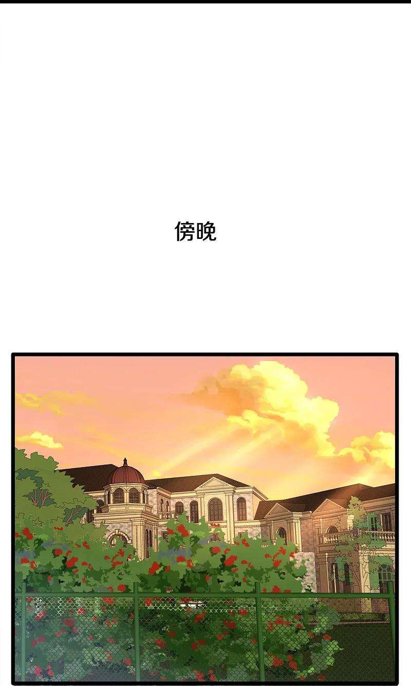 都市邪王254话 乔家少爷？