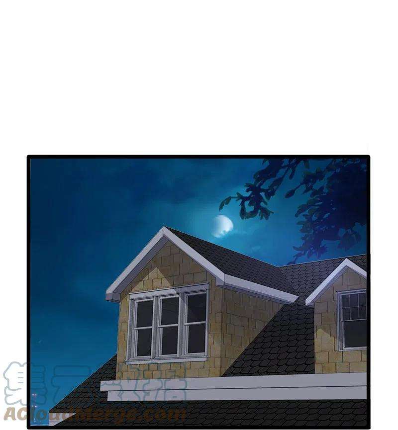 都市邪王254话 乔家少爷？