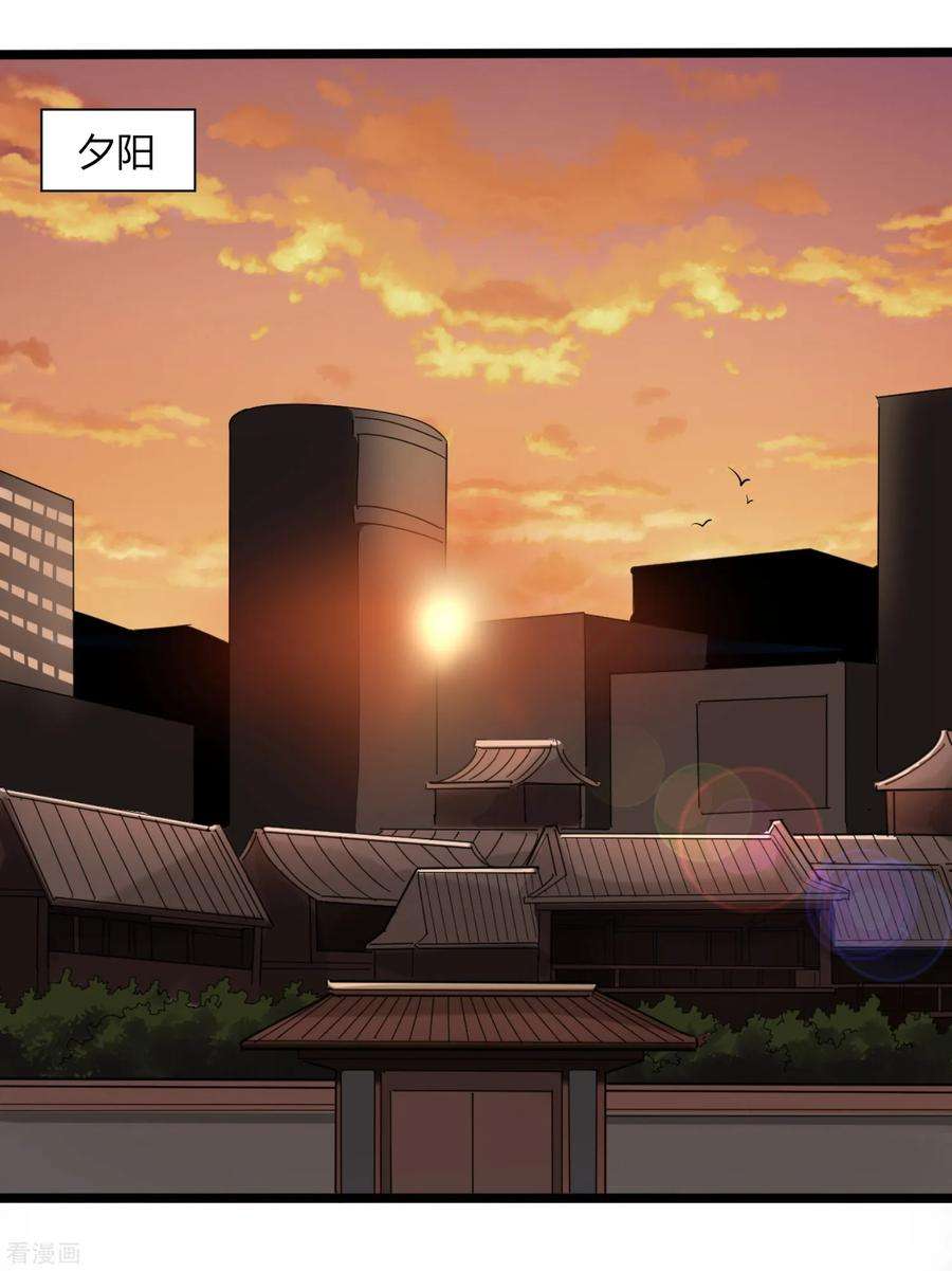 校园护花高手98话 元青花