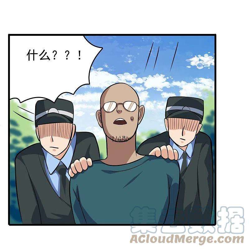 校园护花高手278话 收网