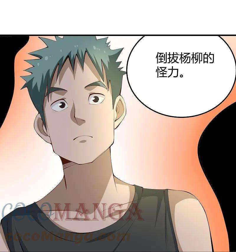 校园护花高手283话 往事