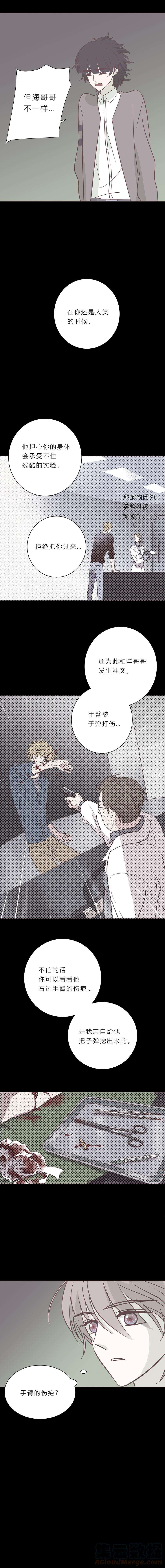 无氧之爱八十四话 最后的逃跑机会