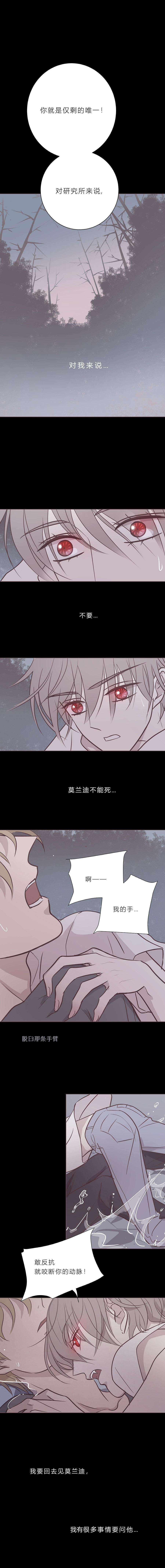 无氧之爱八十七话 杀死爱情杀死吸血鬼