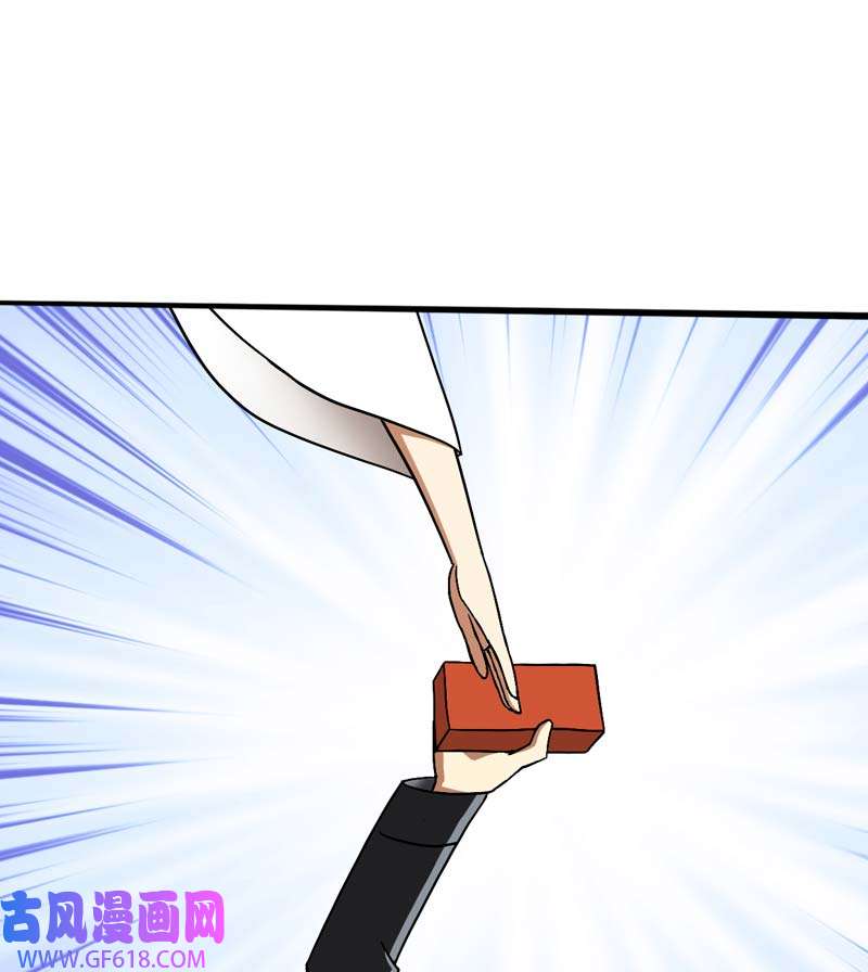 武林高校06.板砖VS全真