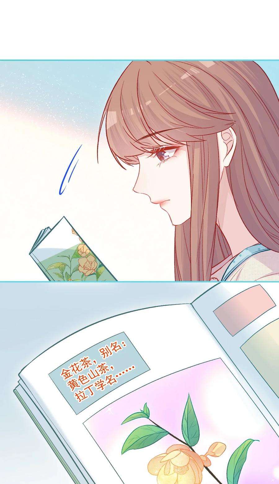 看见时间的少女16话 金花茶