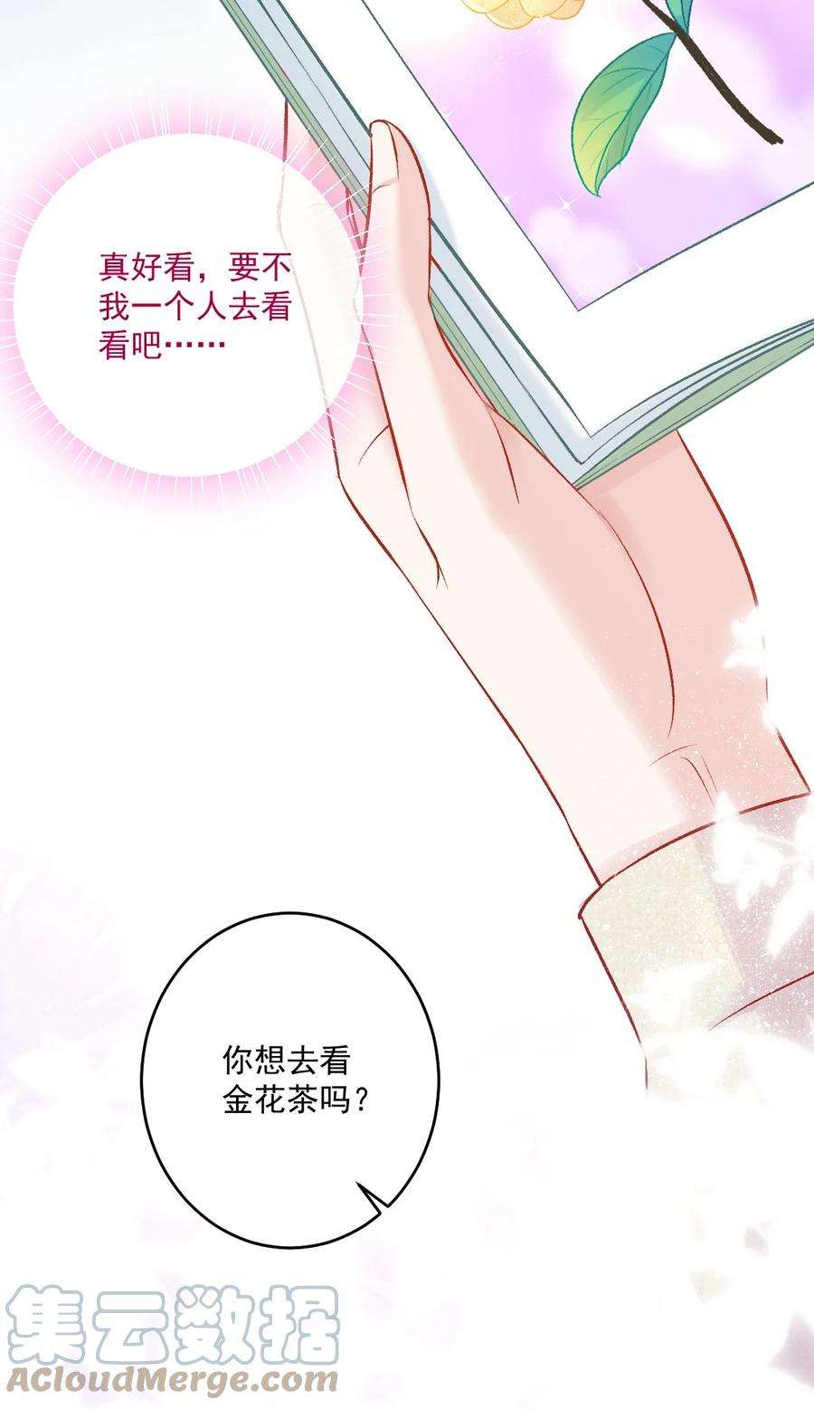 看见时间的少女16话 金花茶