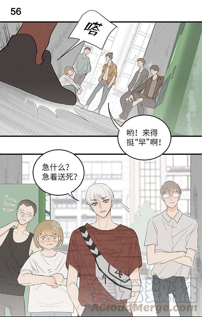 盐友26 命运的重逢