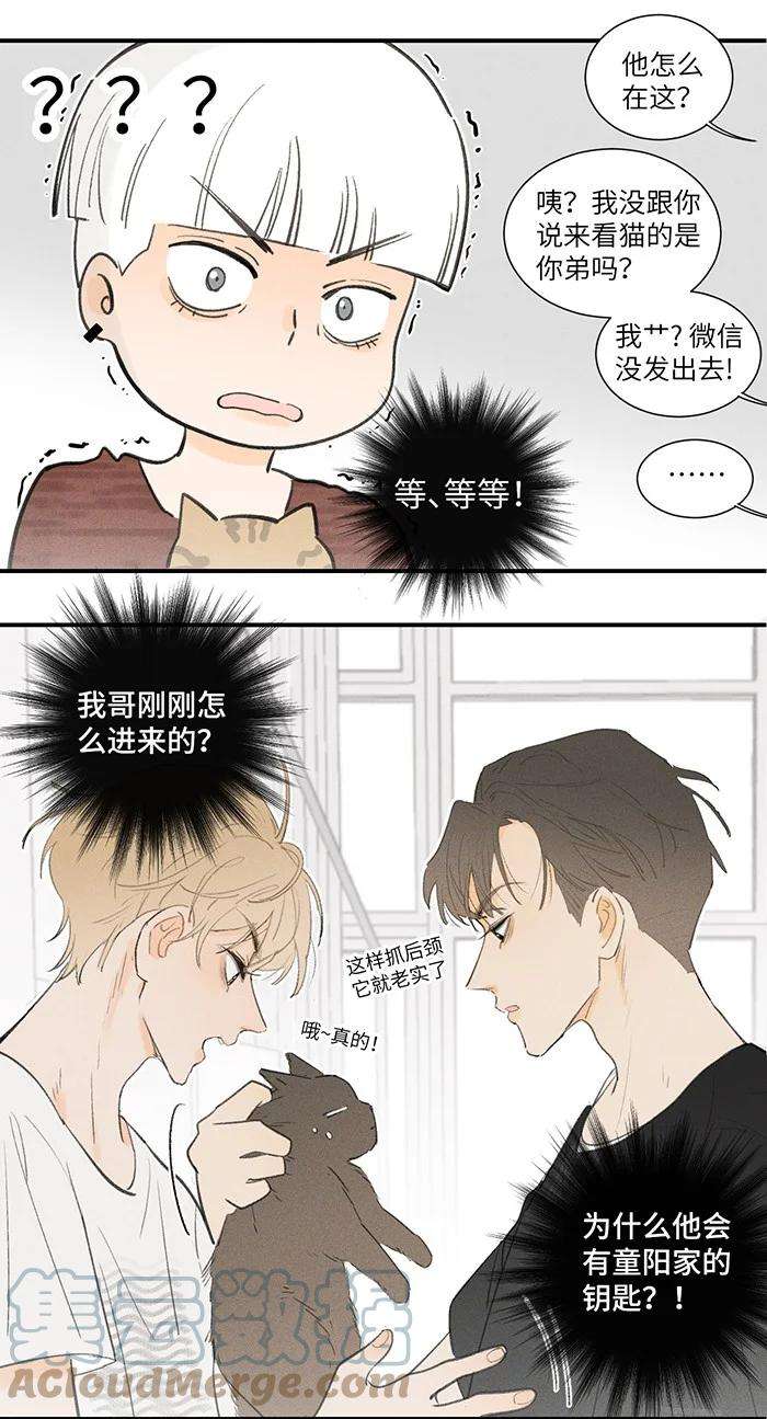 盐友28 弟弟的误会