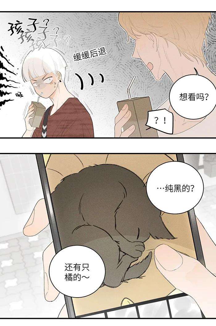 盐友28 弟弟的误会