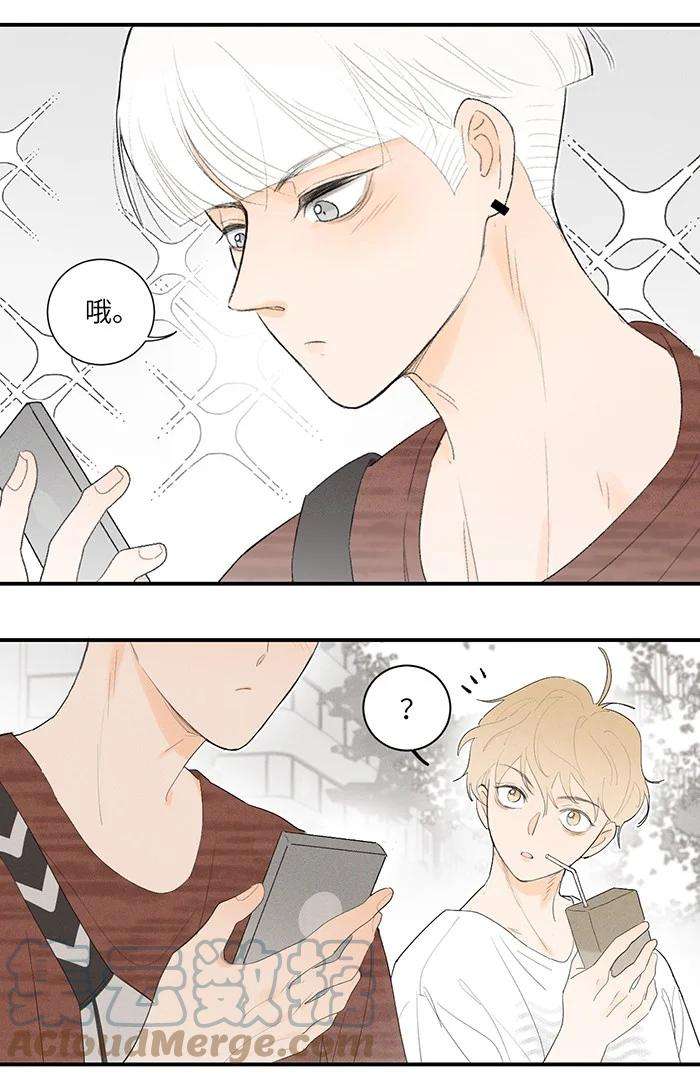 盐友28 弟弟的误会