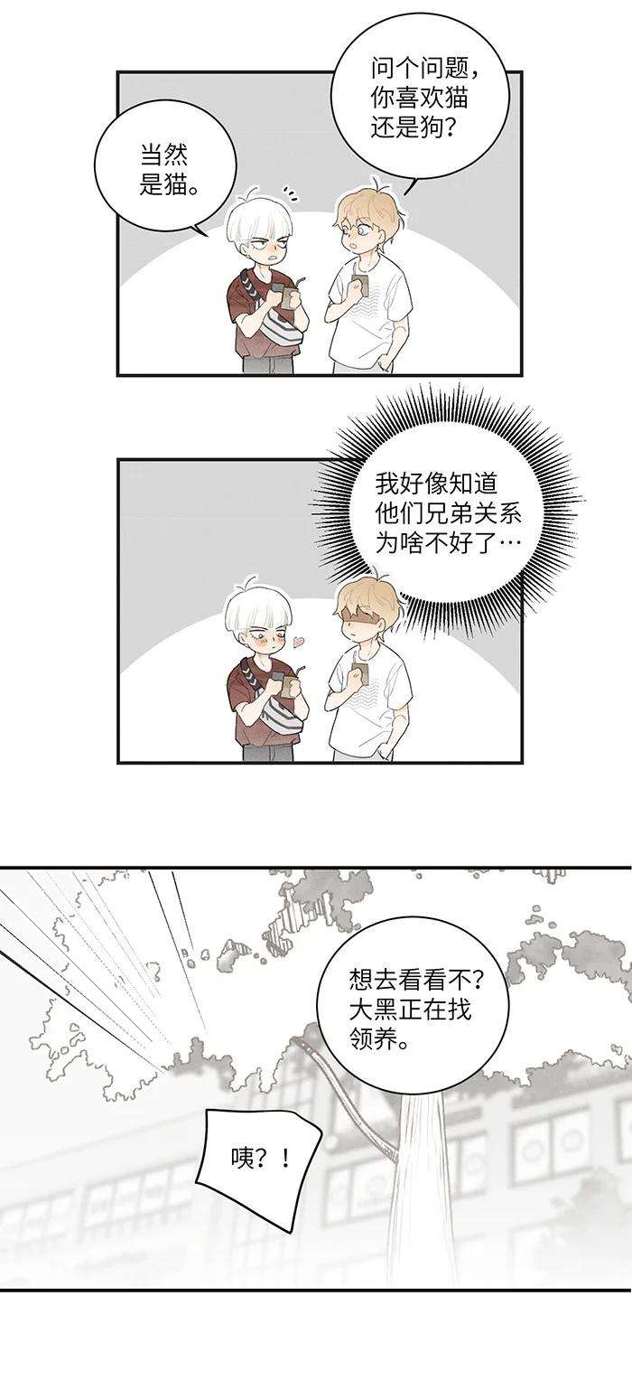 盐友28 弟弟的误会