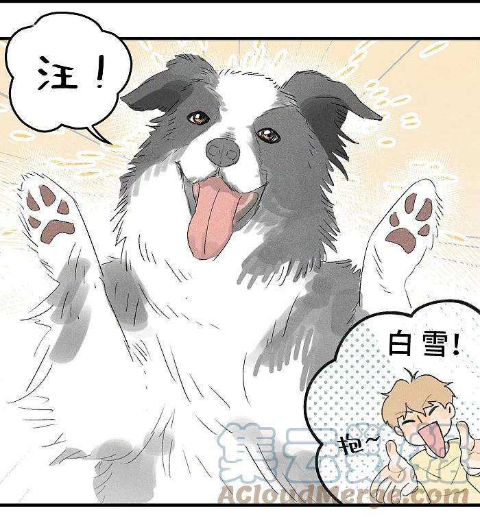 盐友32 校草争霸赛！