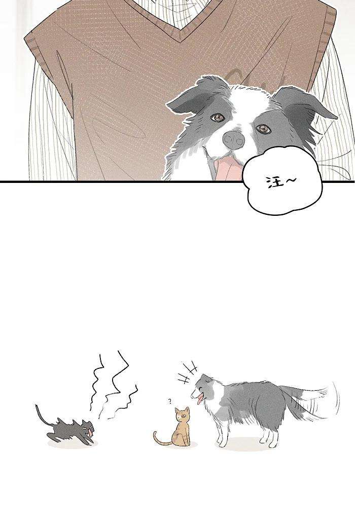 盐友32 校草争霸赛！