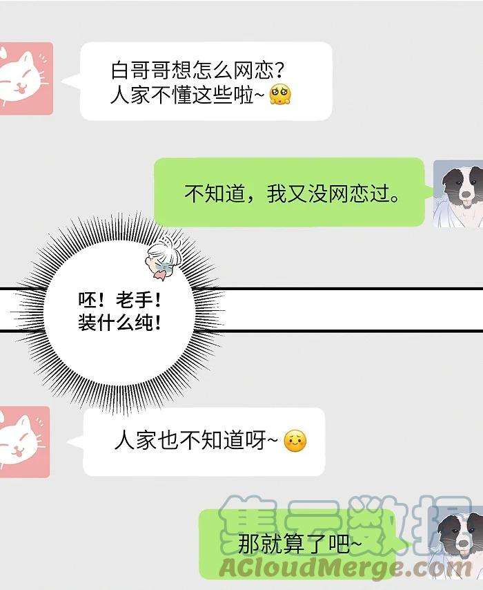 盐友34 心动信号