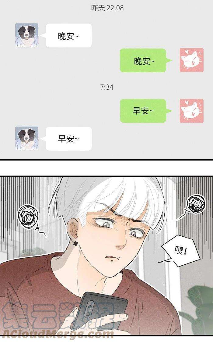 盐友36 篮球赛