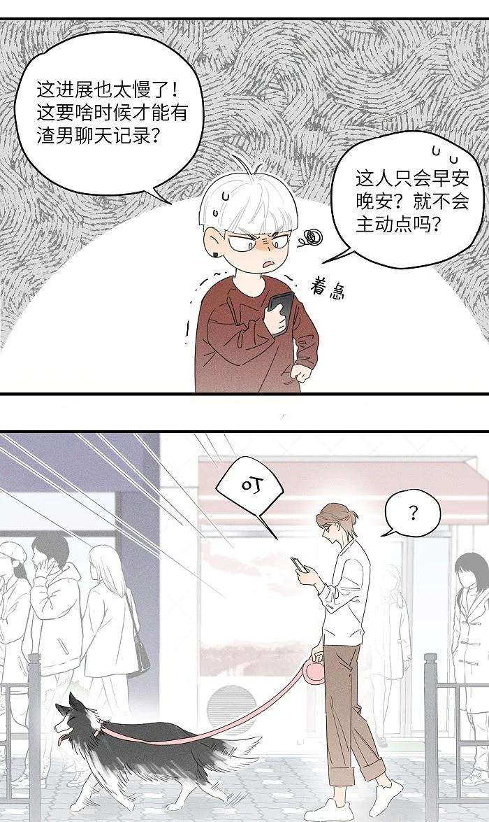 盐友36 篮球赛