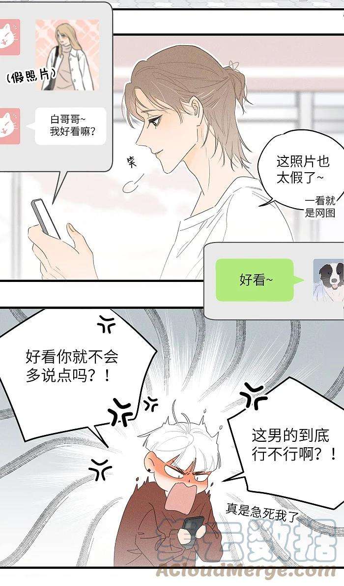 盐友36 篮球赛