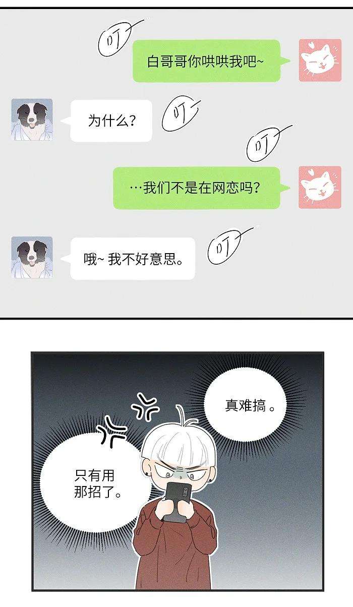 盐友36 篮球赛