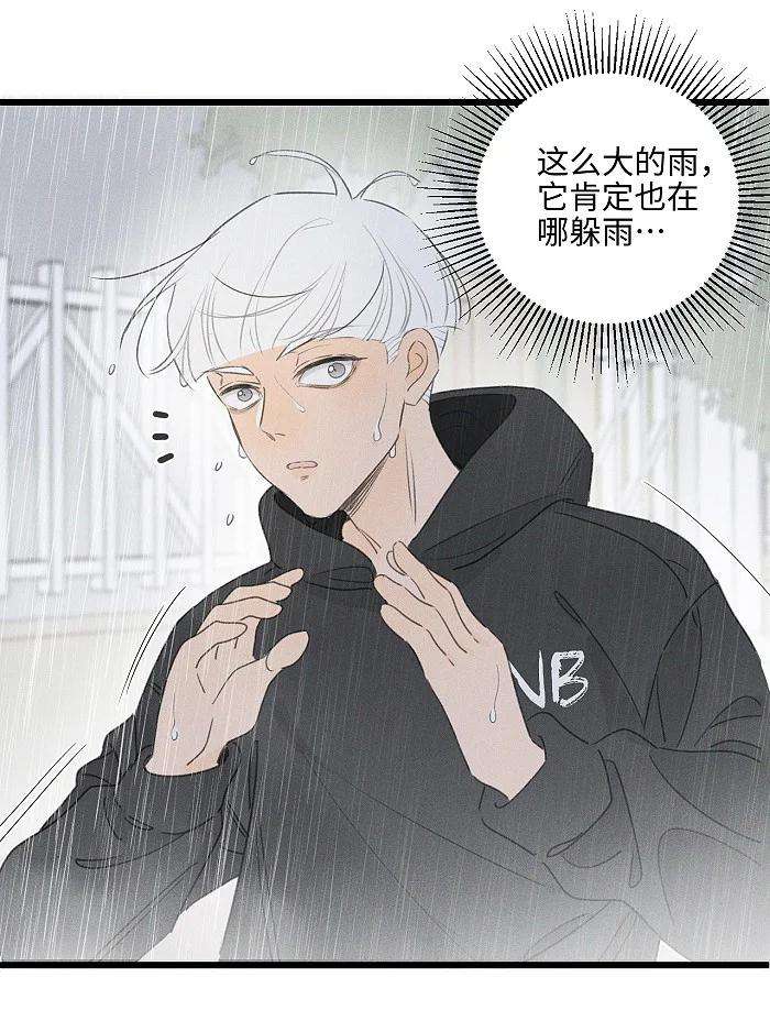 盐友40 暴雨中的生日会