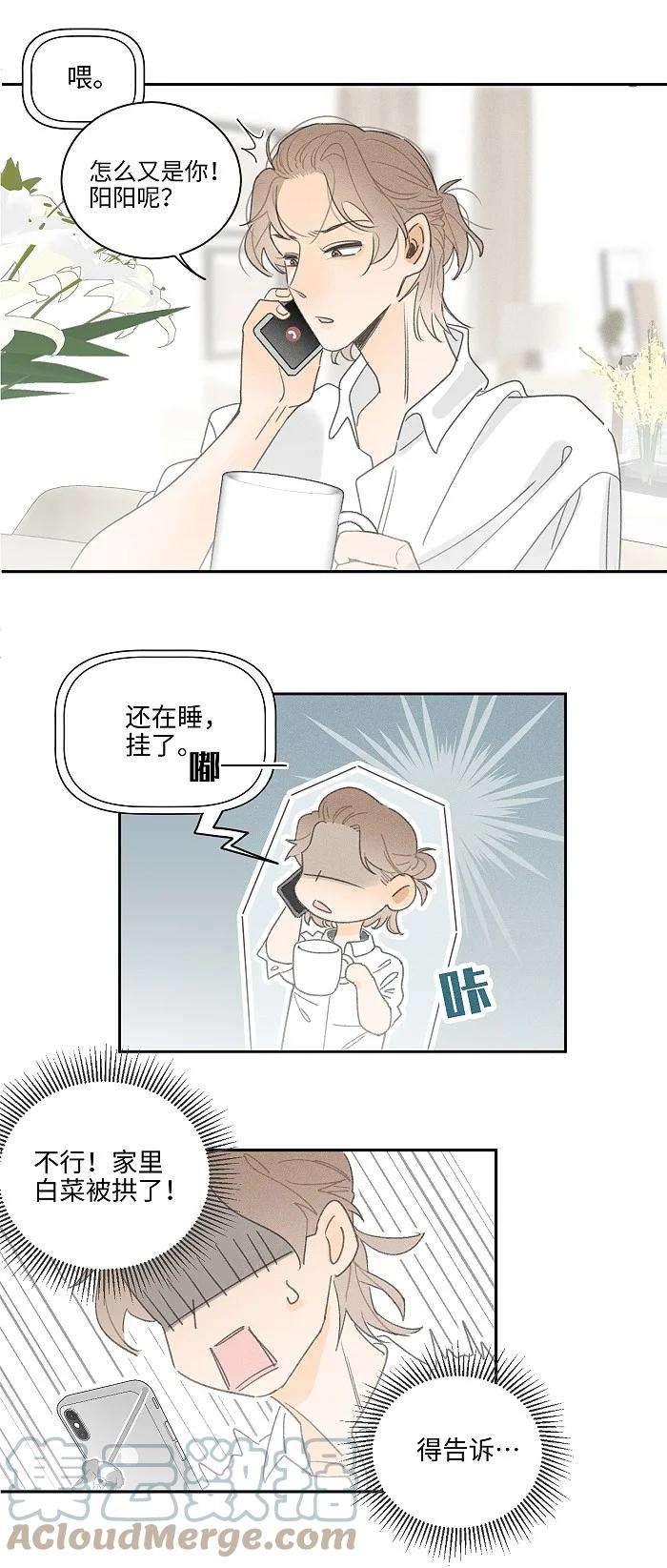 盐友41 家里白菜被拱了！