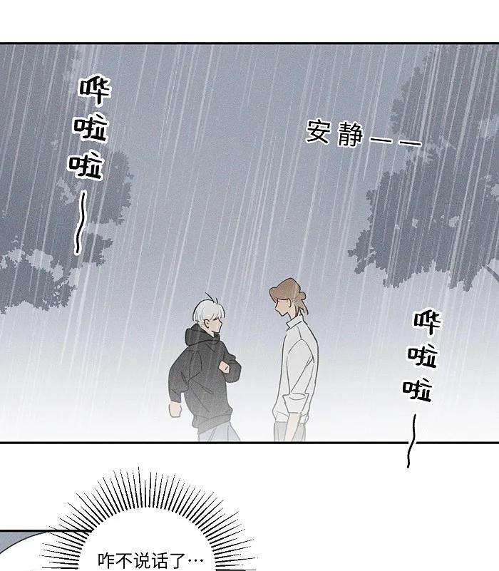 盐友41 家里白菜被拱了！