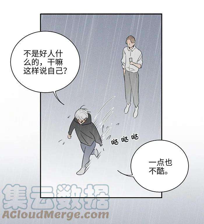 盐友41 家里白菜被拱了！