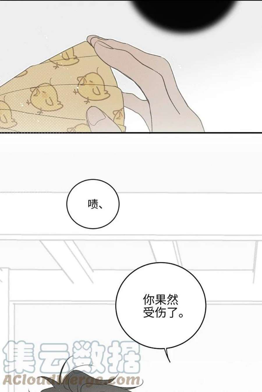 盐友48 你也……
