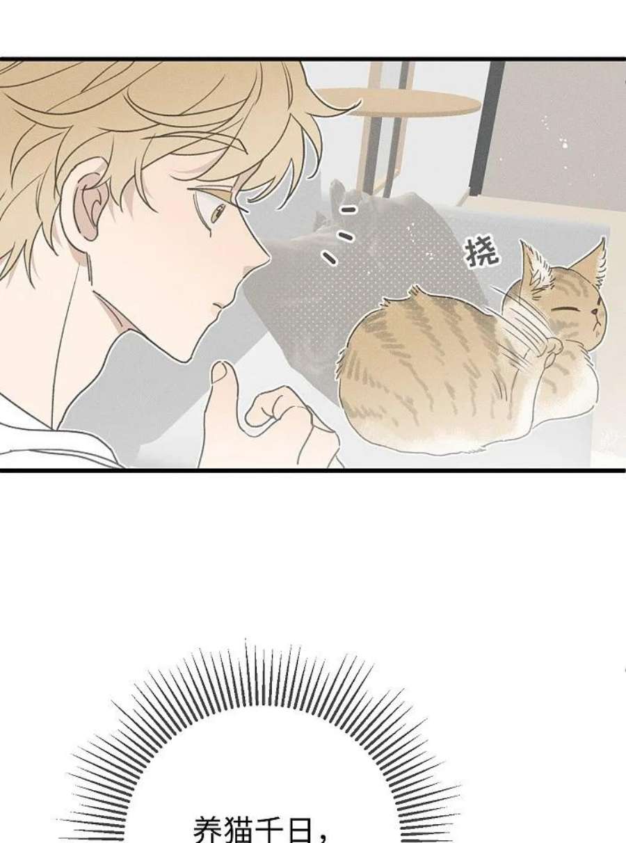 盐友51 阿福的大屁股