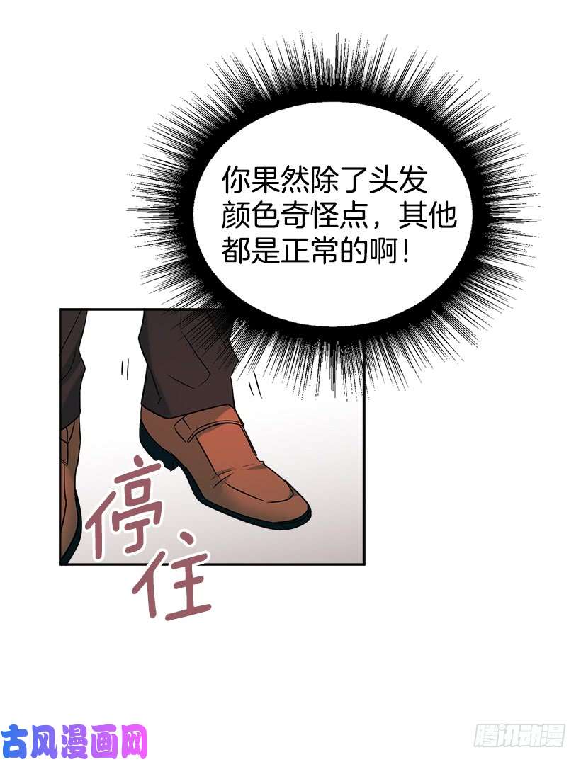 网络小说的法则5.唯一的好朋友