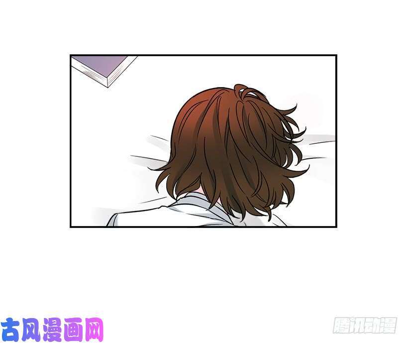 网络小说的法则6.这一定是梦
