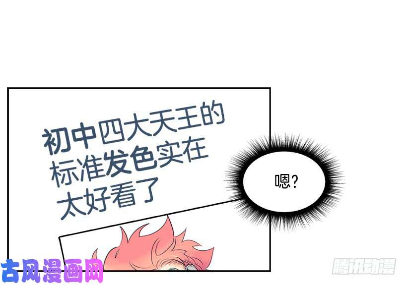 网络小说的法则6.这一定是梦