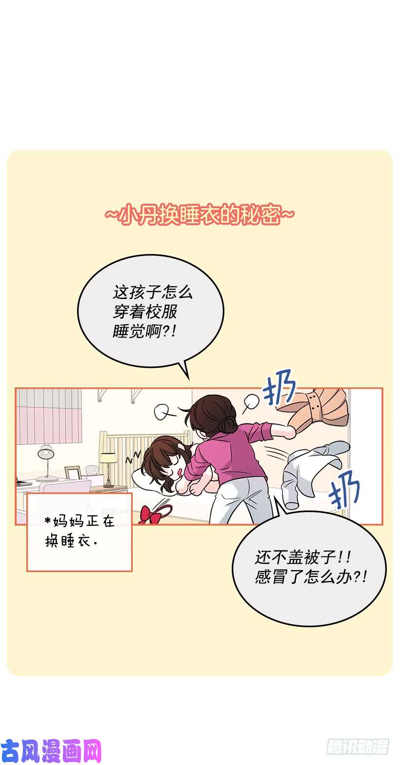 网络小说的法则6.这一定是梦